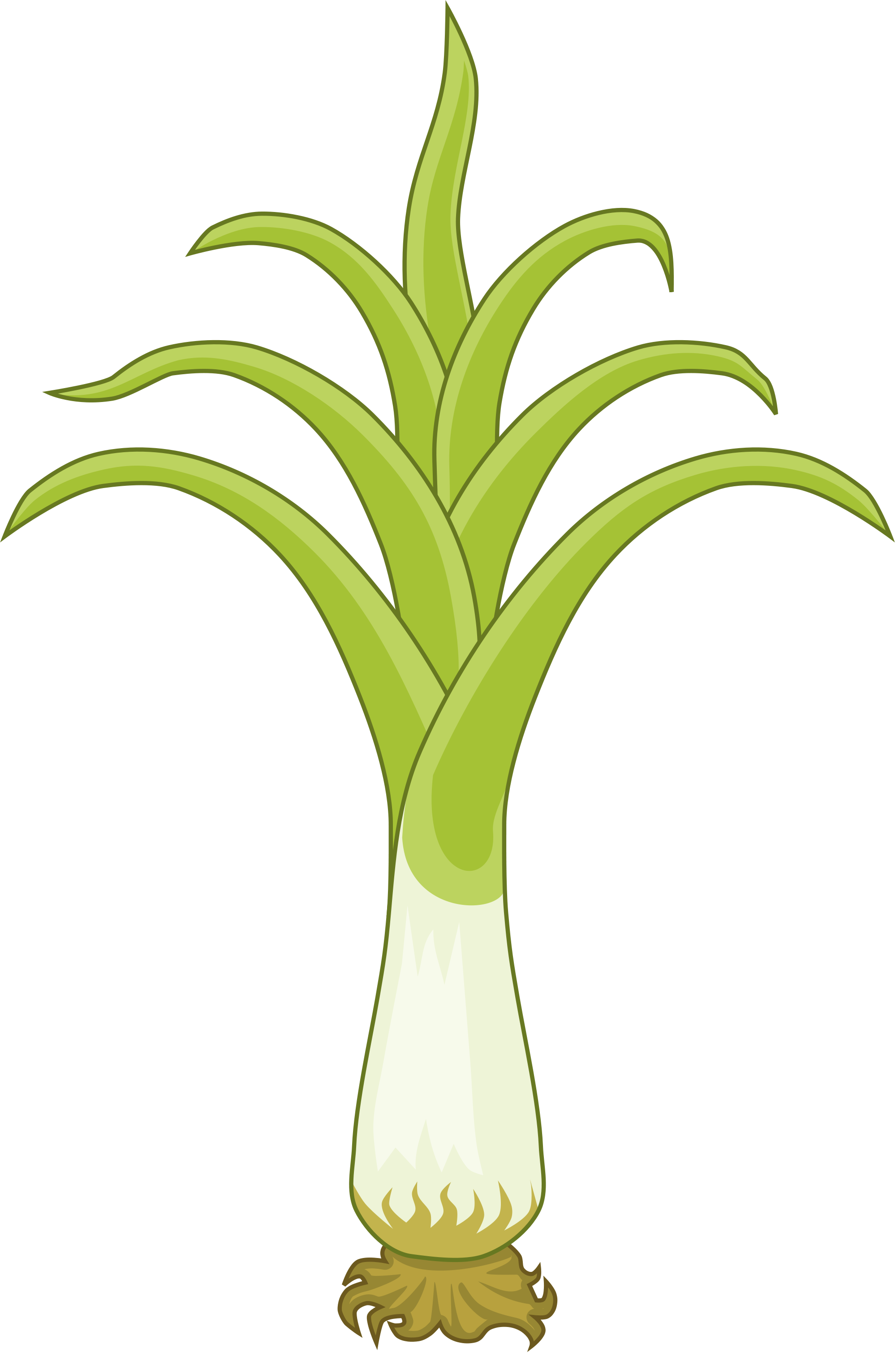 Open - Welsh Leek (2000x3019), Png Download