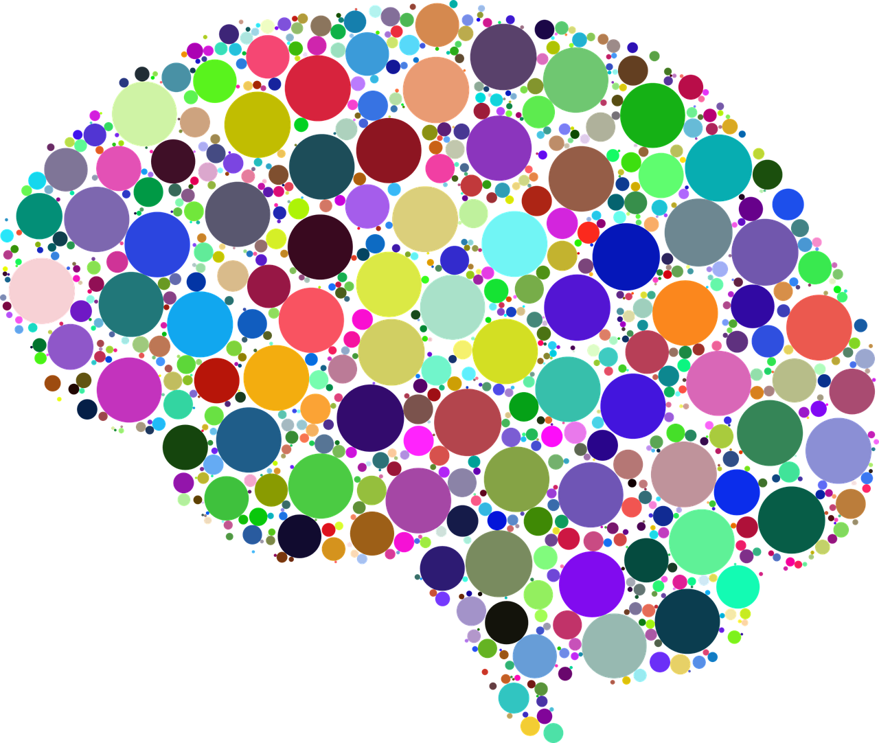 Mythbusting, Neuroscience And A Woman's Brain With (1280x1082), Png Download