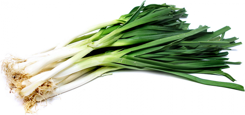 Imagens De Alho Poro (800x800), Png Download