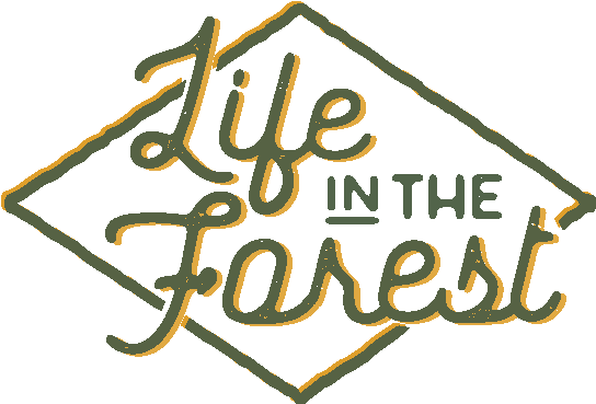 Welcome Home - Calligraphy (554x381), Png Download