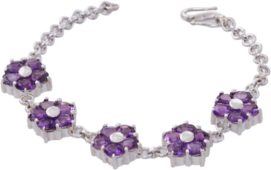 Rudraksha Bracelet (600x600), Png Download