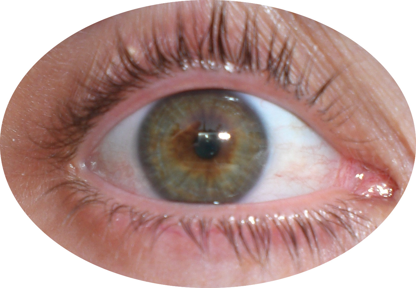 Mi Propio Ojo - Ojo Png (1330x921), Png Download