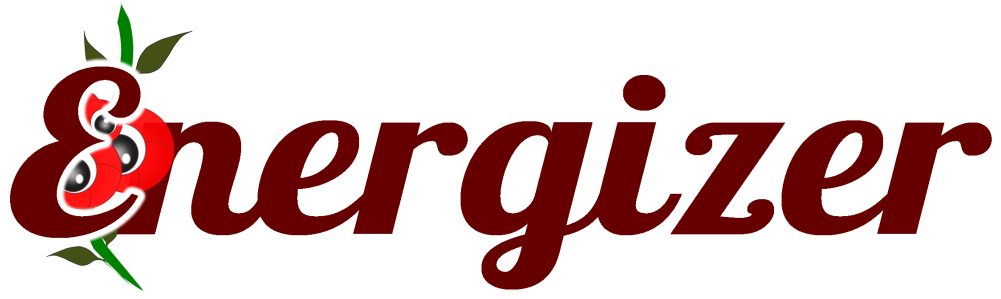 Energizer Logo - Fw - Artehouse Llc Sparkle Throw Pillow (1024x356), Png Download