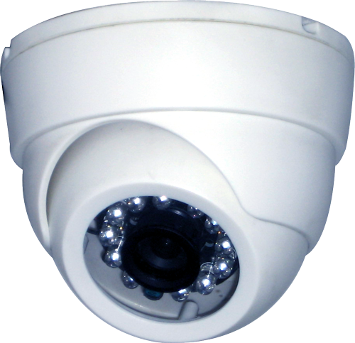 Indoor Eyeball Ir Dome Camera, Cmos 700tvl, Ir Cut, - Cctv Camera Indoor Png (500x483), Png Download
