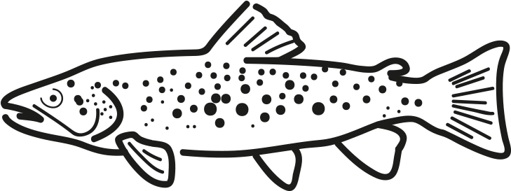 Rainbow Trout - Trout (796x500), Png Download