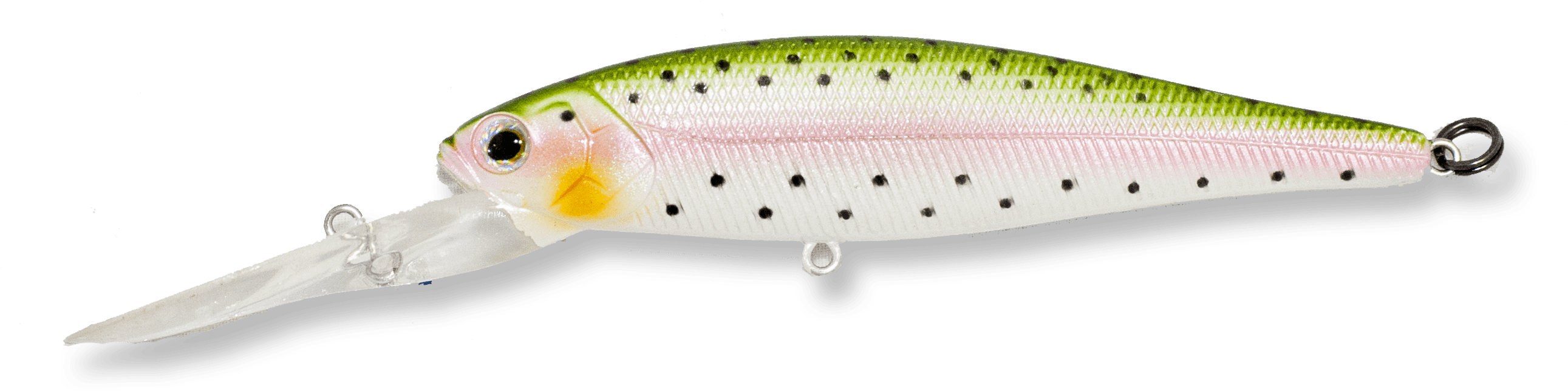 Rainbow Trout (2612x748), Png Download