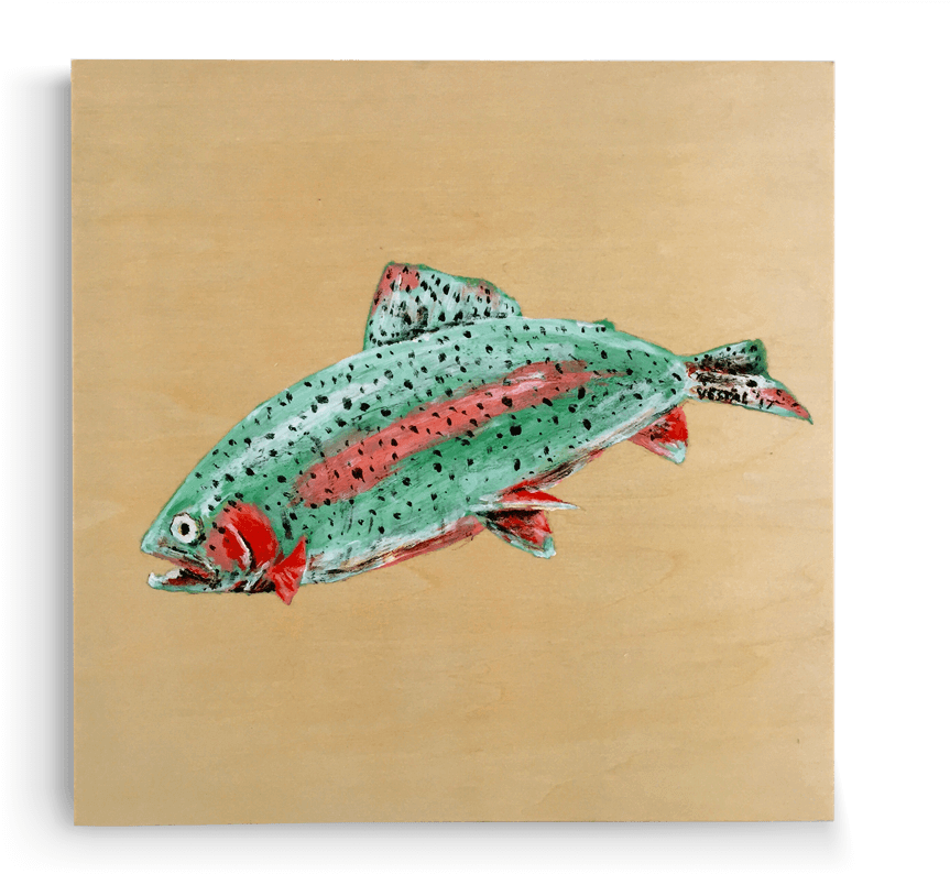Rainbow Trout - Trout (1600x1200), Png Download