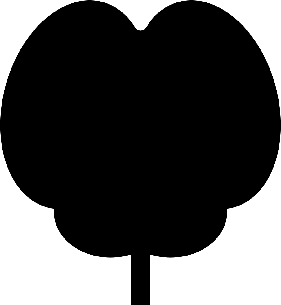 Nervous System - - Hot Air Balloon Clipart Black (906x981), Png Download