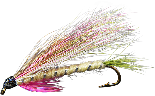 Rainbow Trout (555x741), Png Download