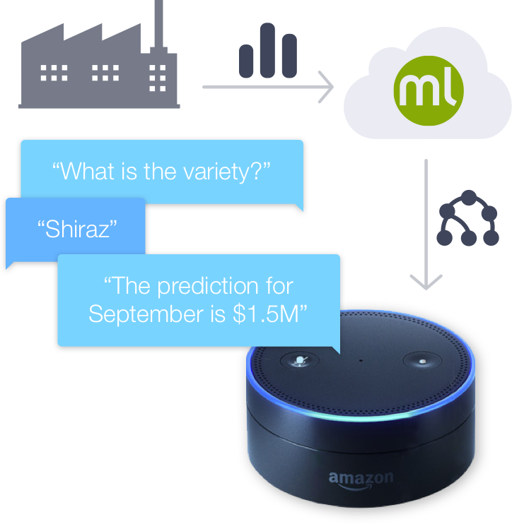 If You Already Have An Avs Device Like The Amazon Echo, - Bigml (724x742), Png Download