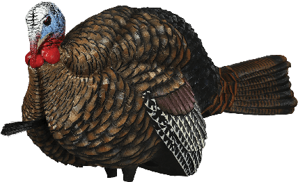 Dreamrunner Harry Potter Hogwarts Hermione Sirius Granger - Avian-x Lcd 1/2-strut Jake Turkey Decoy (600x300), Png Download