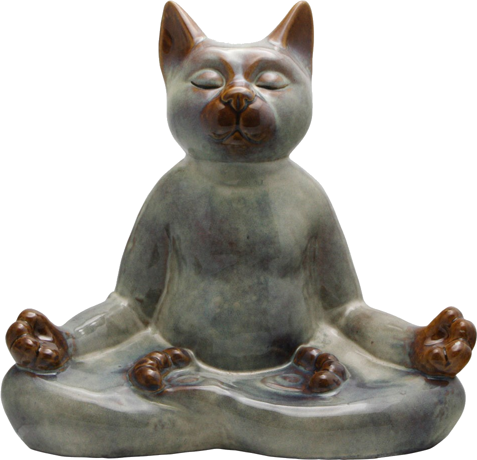 Zen Cat - Meditating Cat (1000x1225), Png Download