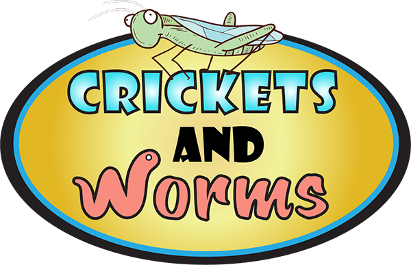 Recent Reviews - Cricket (600x387), Png Download