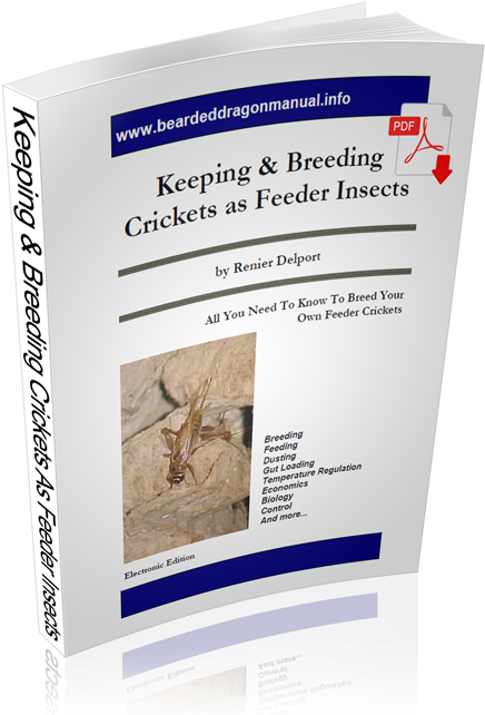 Keeping And Breeding Crickets As Feeder Insects - Insect (500x657), Png Download