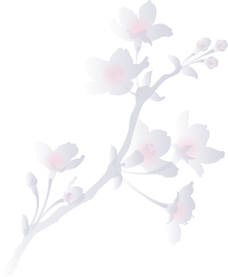 Reservation - Cherry Blossom (785x954), Png Download