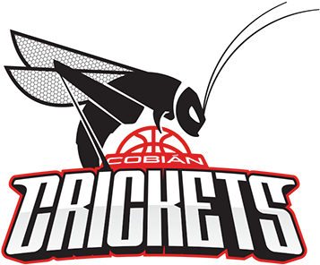 The Cobián Crickets Basketball Team Was Founded Back - Basketball Team Logos Transparent (600x380), Png Download