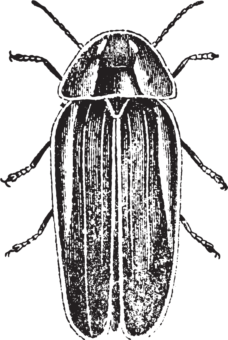 There Is Something Inherently Terrifying Thinking About - Portable Network Graphics (1500x1500), Png Download