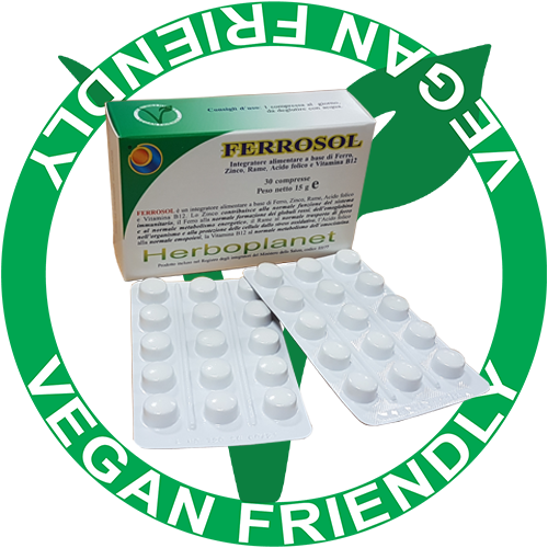 Normal Formation Of Red Blood Cells And Hemoglobin - Organ System (500x500), Png Download