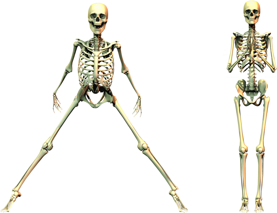 Spooky Skeleton Png - Spooky Png (1024x724), Png Download