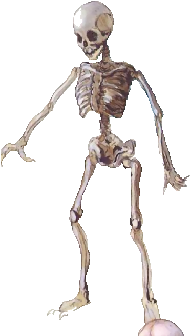 Castlevania - Skeleton - Death Battle Fanon (395x659), Png Download