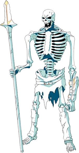 Skeleton Databook 01 - Portable Network Graphics (303x588), Png Download