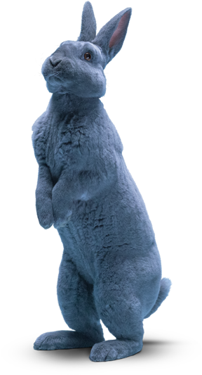 My Name's Blu - Blue Bunny Ice Cream Rabbit (300x540), Png Download