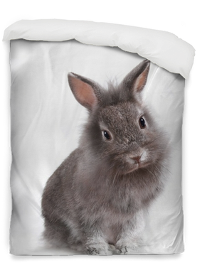 Young Adorable Little Bunny Rabbit Duvet Cover • Pixers® - Wall Sign: Baby Bunny Studio Photo : 15x10in (400x400), Png Download