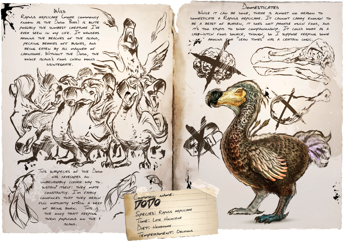 1600px-dossier Dodo - Ark Survival Evolved Dinosaure Dodo (1600x1064), Png Download