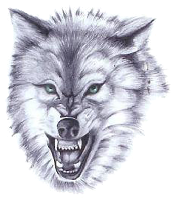 White Wolf Tattoos Designs Pictures Png Images - Fierce Wolf Tattoo Designs (350x400), Png Download