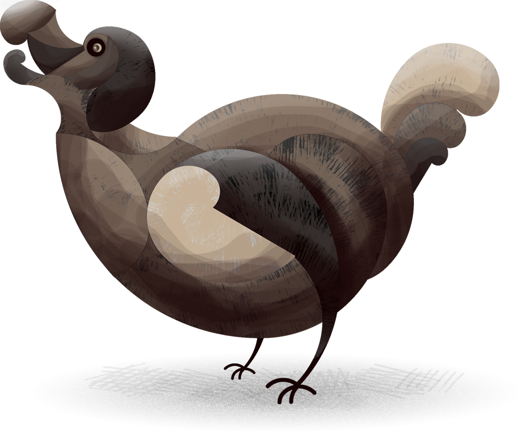Outlines Of The Dodos - Duck (1061x886), Png Download