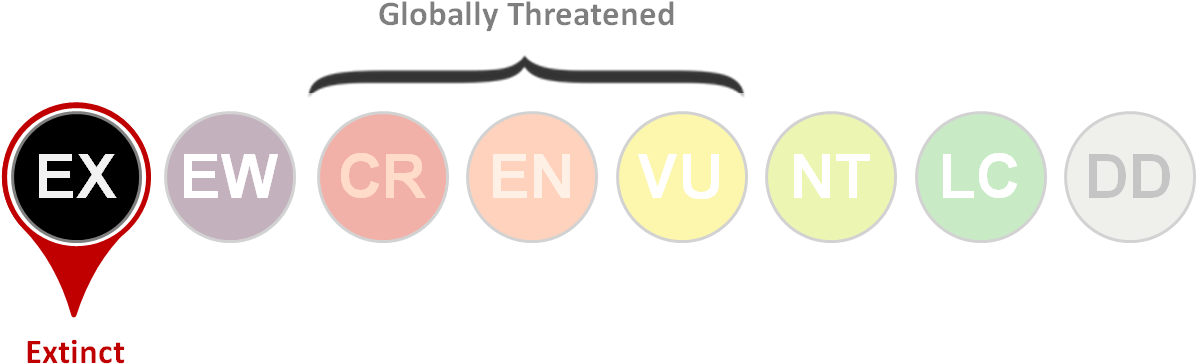Endangered Status (1203x412), Png Download