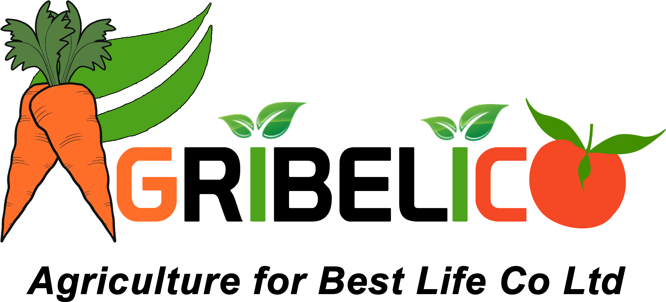 Is An Agriculture Company Supplying Different Agricultural - Illustration (2875x1437), Png Download