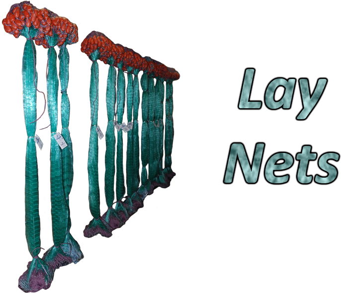 Lay Nets Complete - Parallel (1000x600), Png Download
