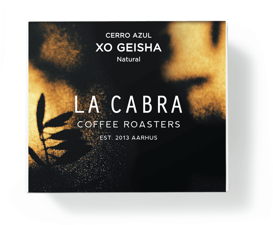 Xo Geisha 150g - Geisha (887x744), Png Download