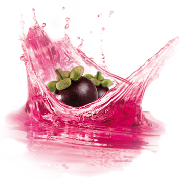 Mangosteen Powdered Water Enhancer - Hiking Waterproof Backpack / Running Waist Pack 30l- (350x350), Png Download