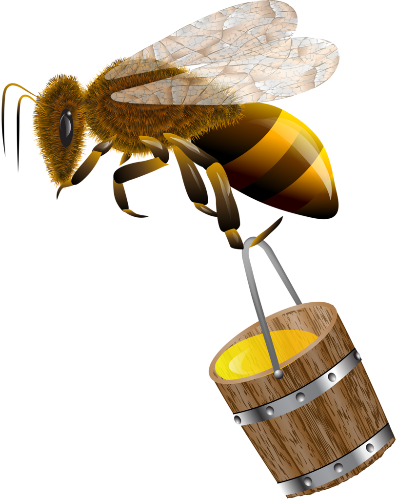 Bees🐝bears🐝honey - Bee (814x1024), Png Download