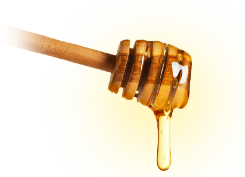 Honey Transparent Images - Honey Png (851x606), Png Download