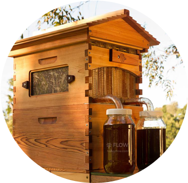 Less Labour, More Love - Flow Hive (400x400), Png Download