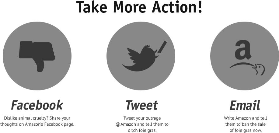 Speak Out Against Amazon's Cruelty - Graphic Design (924x436), Png Download