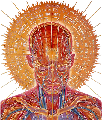 Girl - Alex Grey Art (347x400), Png Download