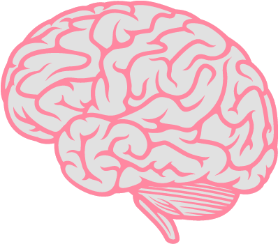 Brain - Neurological Structures Of The Brain Coloring Book (480x420), Png Download