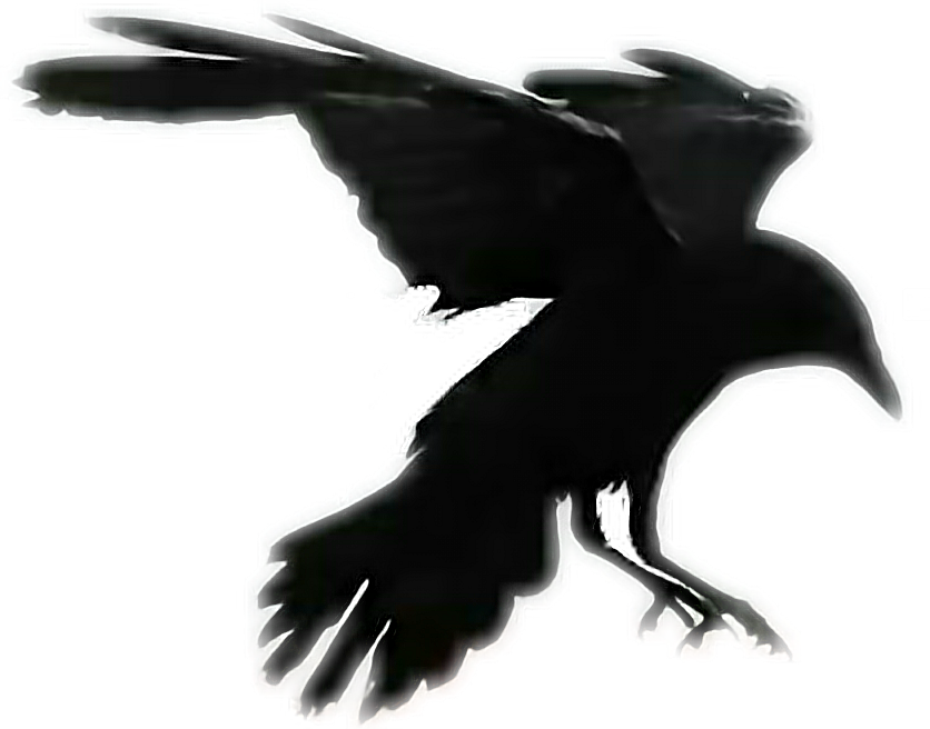 Crow Travis Scott (836x656), Png Download