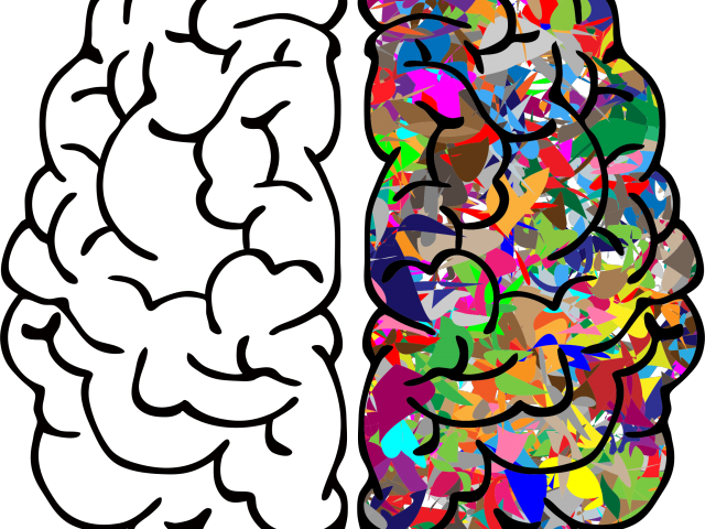 Brain Png Transparent Images - Left Vs Right Brain Png (640x480), Png Download