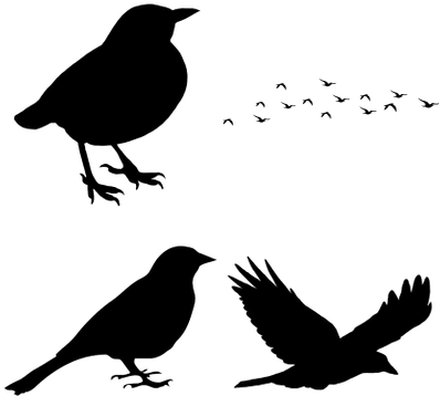 Bird Flying Silhouette Png (400x400), Png Download