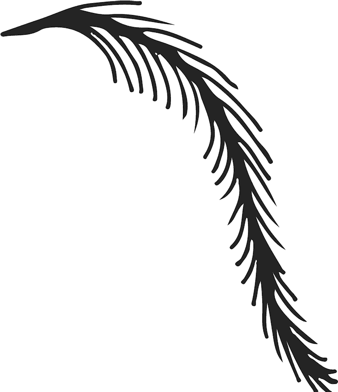 Weeping Willow Branch Rubber Stamp - Willow (800x800), Png Download