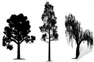 Oak, Forest Pine And Weeping Willow Tree Wall Mural - Tree Silhouettes (400x400), Png Download