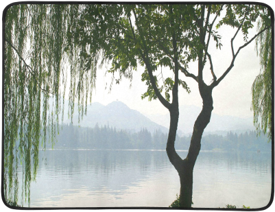 Weeping Willow Mountian View Beach Mat - Weeping Willow Lake Mountain Landsc Shower Curtain (500x500), Png Download