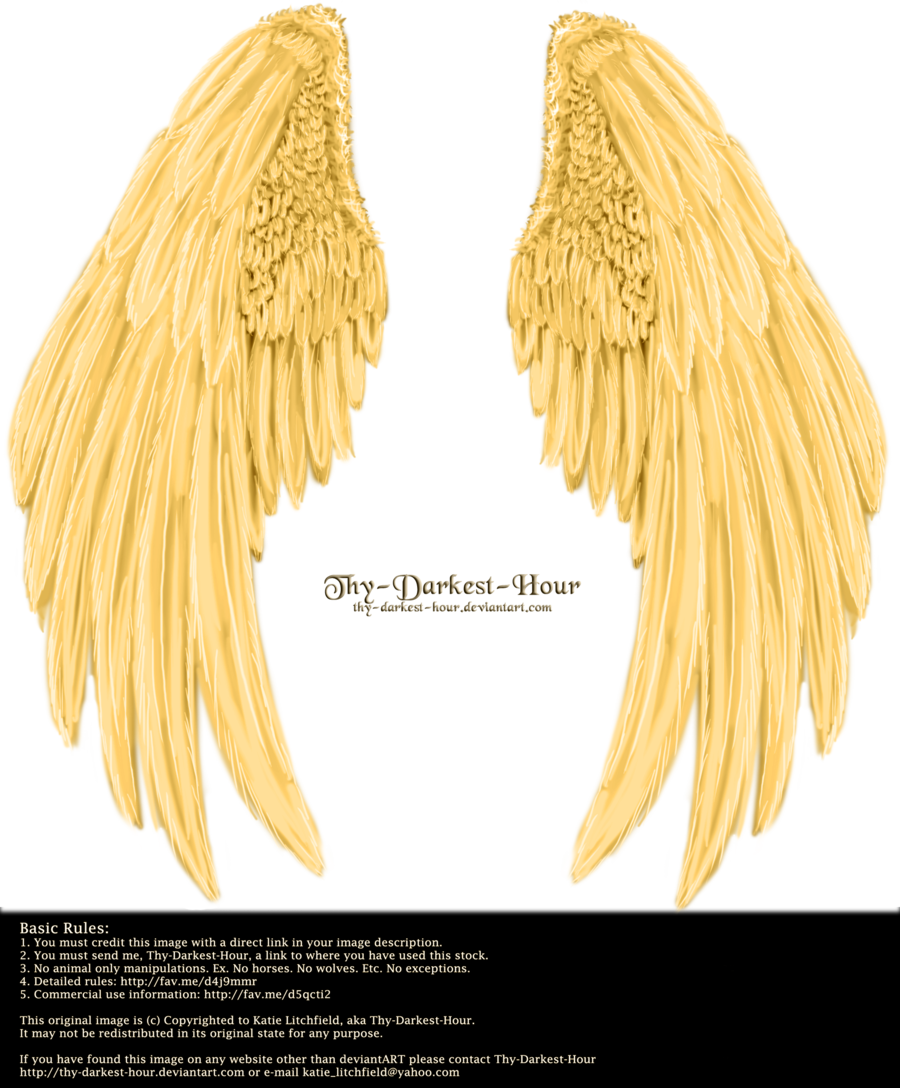 Golden Wings, Bing Images, Scrap, Image Search, Angel, - Golden Angel Wings Png (900x1088), Png Download