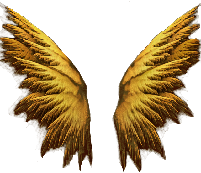 Purple Angel Wings (640x564), Png Download