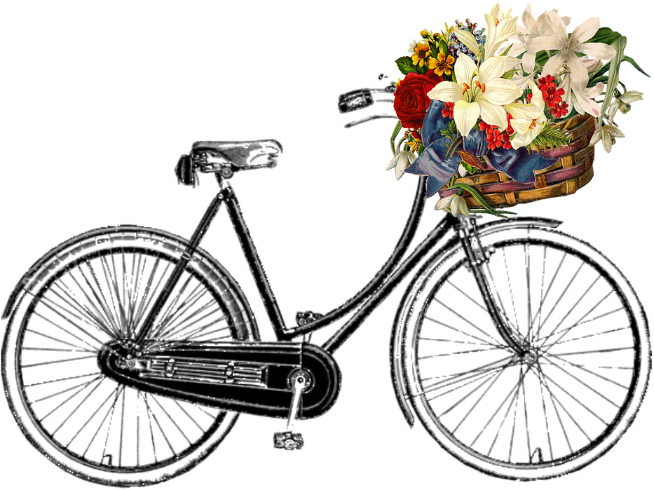 Bicicleta Vintage Png - Bicycle With Basket Drawing (960x713), Png Download